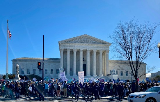 Louisiana Leads Red-State Supreme Court Fight Against Abortion Pill Shield Laws
