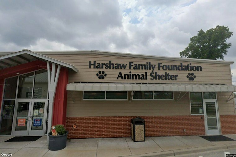 Louisville Couple Charged After Goldendoodle's Neglect Ends in Euthanasia