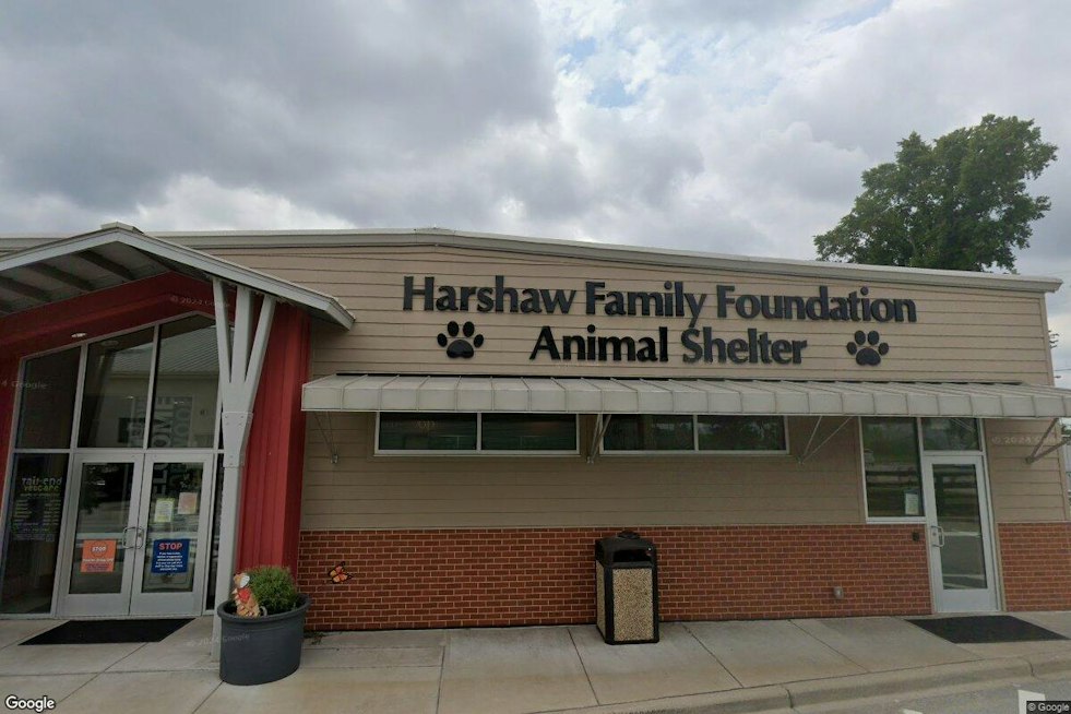 Louisville Couple Charged After Goldendoodle's Neglect Ends in Euthanasia