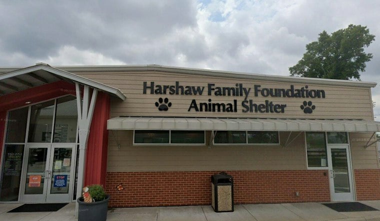 Louisville Couple Charged After Goldendoodle's Neglect Ends in Euthanasia