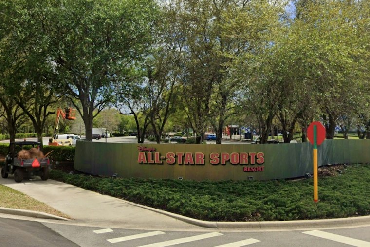 Lovebug Swarm Hits Disney World Resort Rooms, Guests Find Beds Covered