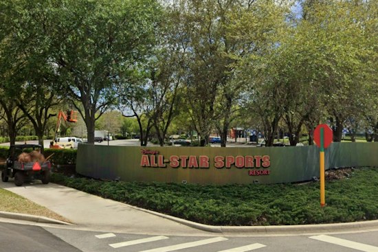 Lovebug Swarm Hits Disney World Resort Rooms, Guests Find Beds Covered