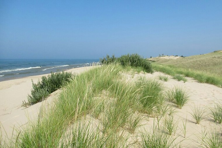 Ludington State Park Asks Visitors To Help Shape Its Next Decade