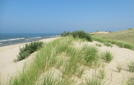Ludington State Park Asks Visitors To Help Shape Its Next Decade