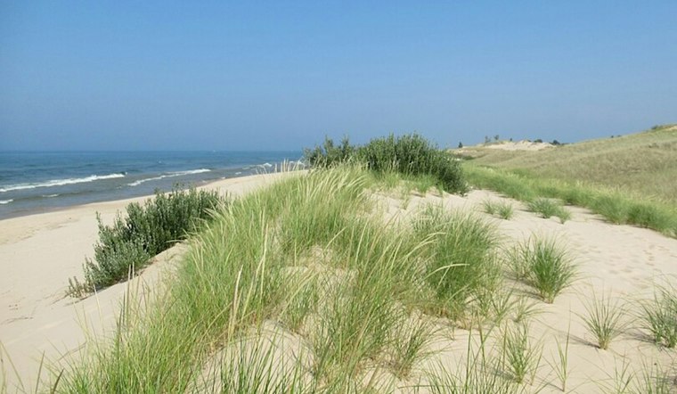 Ludington State Park Asks Visitors To Help Shape Its Next Decade