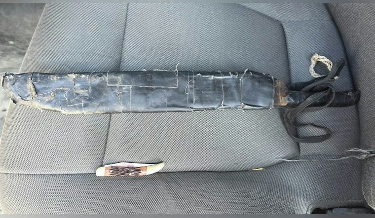 Machete-Wielding Woman Rattles Kids at Batesville School Bus Stop, Faces Charges