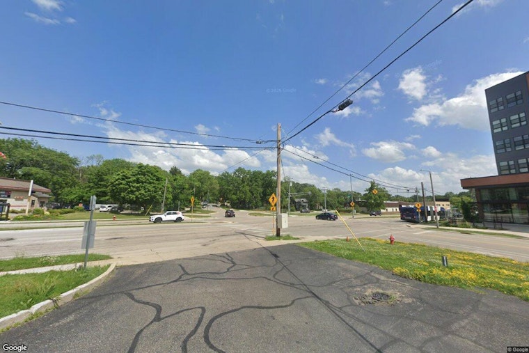 Madison Dog Bites Man's Face Near South Park Street, Person Walking Dog Unidentified