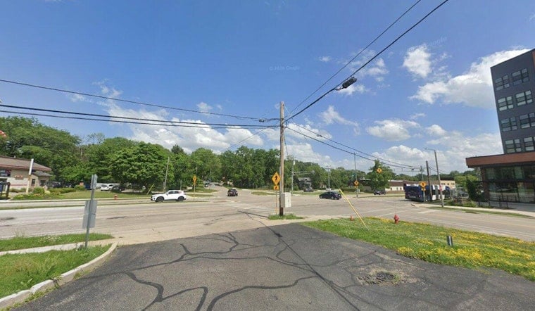 Madison Dog Bites Man's Face Near South Park Street, Person Walking Dog Unidentified