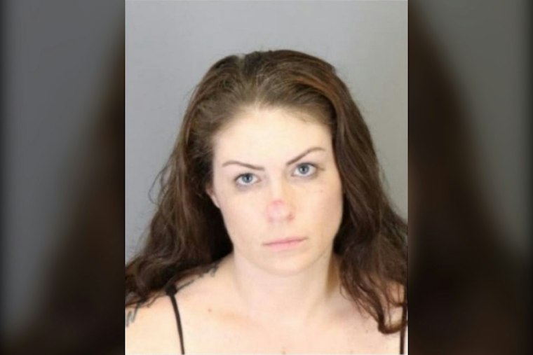 Madison Heights Mom, 34, Charged in Trafficking Case Spanning Four Metro Detroit Cities