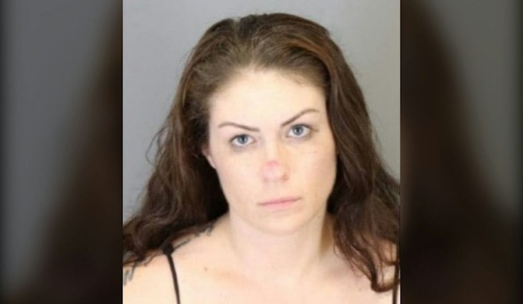 Madison Heights Mom, 34, Charged in Trafficking Case Spanning Four Metro Detroit Cities