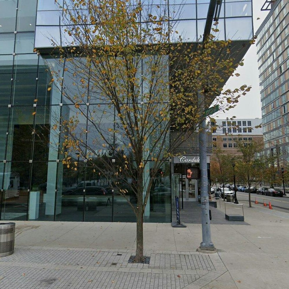Madrid's Cult Greek Yogurt Brand MYKA Lands in Boston's Seaport Pop-Up