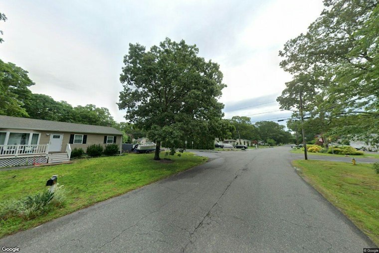 Malnourished Dog Dumped Near Shirley's Dawn Drive, Police Hunt for Culprit