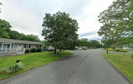 Malnourished Dog Dumped Near Shirley's Dawn Drive, Police Hunt for Culprit