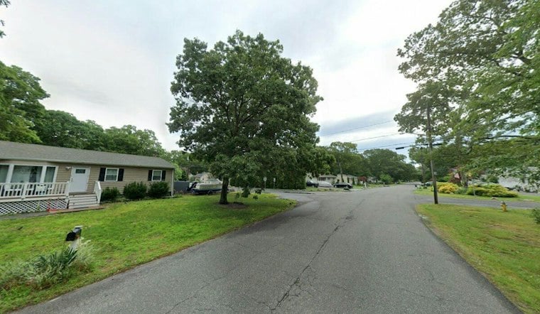 Malnourished Dog Dumped Near Shirley's Dawn Drive, Police Hunt for Culprit
