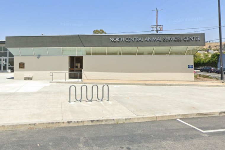 Man Attacks Staff At L.A. Shelter Trying To Reclaim Dog Mid-Surgery, Mayor Vows Crackdown