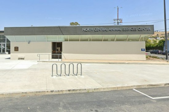 Man Attacks Staff At L.A. Shelter Trying To Reclaim Dog Mid-Surgery, Mayor Vows Crackdown
