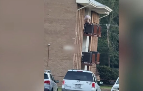 Man Climbs to Groveton Balcony, Pulls Gun on Resident, Fairfax Police Say