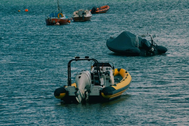 Man Found Dead in Water Near West Loop South, No Signs of Trauma