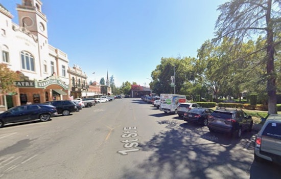 Man Found Unconscious in Sonoma Plaza With Critical Head Trauma, Witnesses Sought