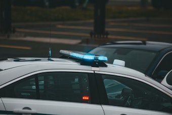 Man Stabbed to Death on Theodosia Avenue, Suspect Stayed to Talk to Police