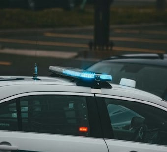 Man Stabbed to Death on Theodosia Avenue, Suspect Stayed to Talk to Police