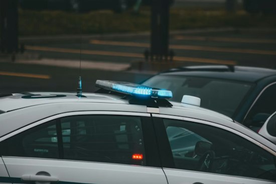 Man Stabbed to Death on Theodosia Avenue, Suspect Stayed to Talk to Police