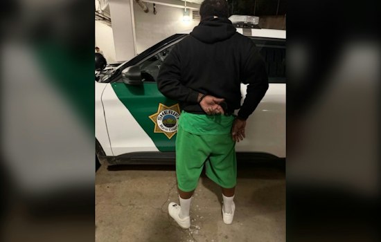 Marin City Man Busted After Flock Cameras Track Stolen Purse to 79-Year-Old Victim