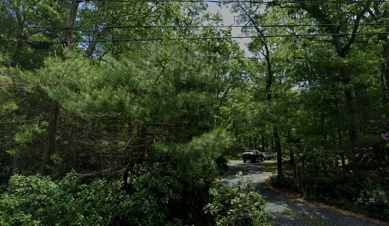 Mashpee Man, 50, Airlifted After Truck Slams Tree on Sandwich Scenic Road