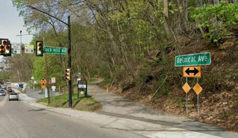 Massive Tree Crushes Cars on Belmont Avenue in Bala Cynwyd, Two Hospitalized