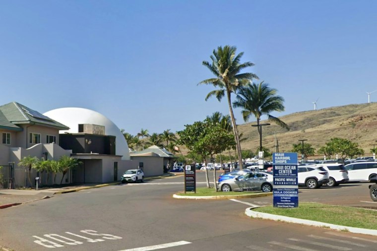 Maui Ocean Center's Fins & Frights Turns Halloween Into a Marine Science Lesson