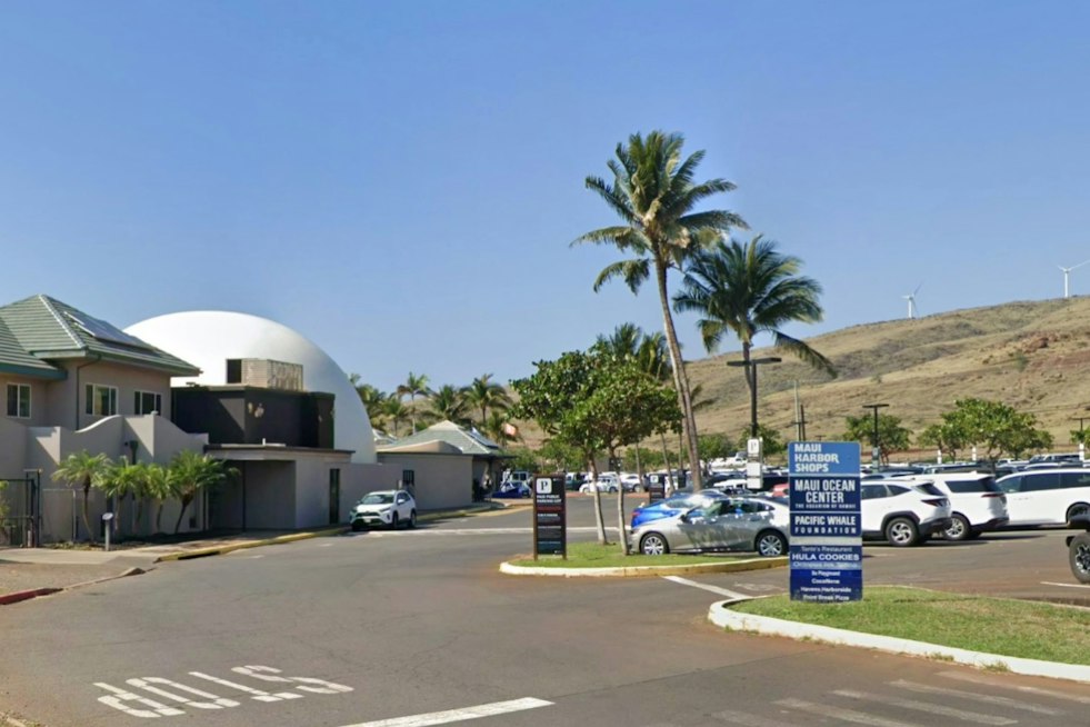 Maui Ocean Center's Fins & Frights Turns Halloween Into a Marine Science Lesson