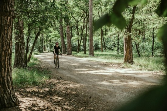 Mecklenburg Greenways Get 20 MPH Cap as E-Bike Crashes Spike 70%