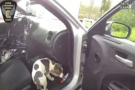 Medina County Trooper Coaxes Crated Puppy Out With a Gatorade Bottle at I-71 Rest Stop