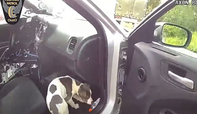 Medina County Trooper Coaxes Crated Puppy Out With a Gatorade Bottle at I-71 Rest Stop