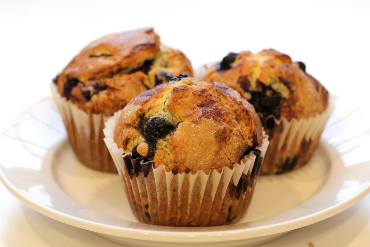 Muffin House Cafe Opens Seventh Location in Canton, MA