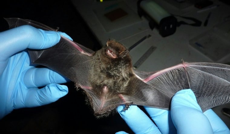 Minnesota Health Officials Warn ASAP Wildlife Customers Who Had Animals Tested