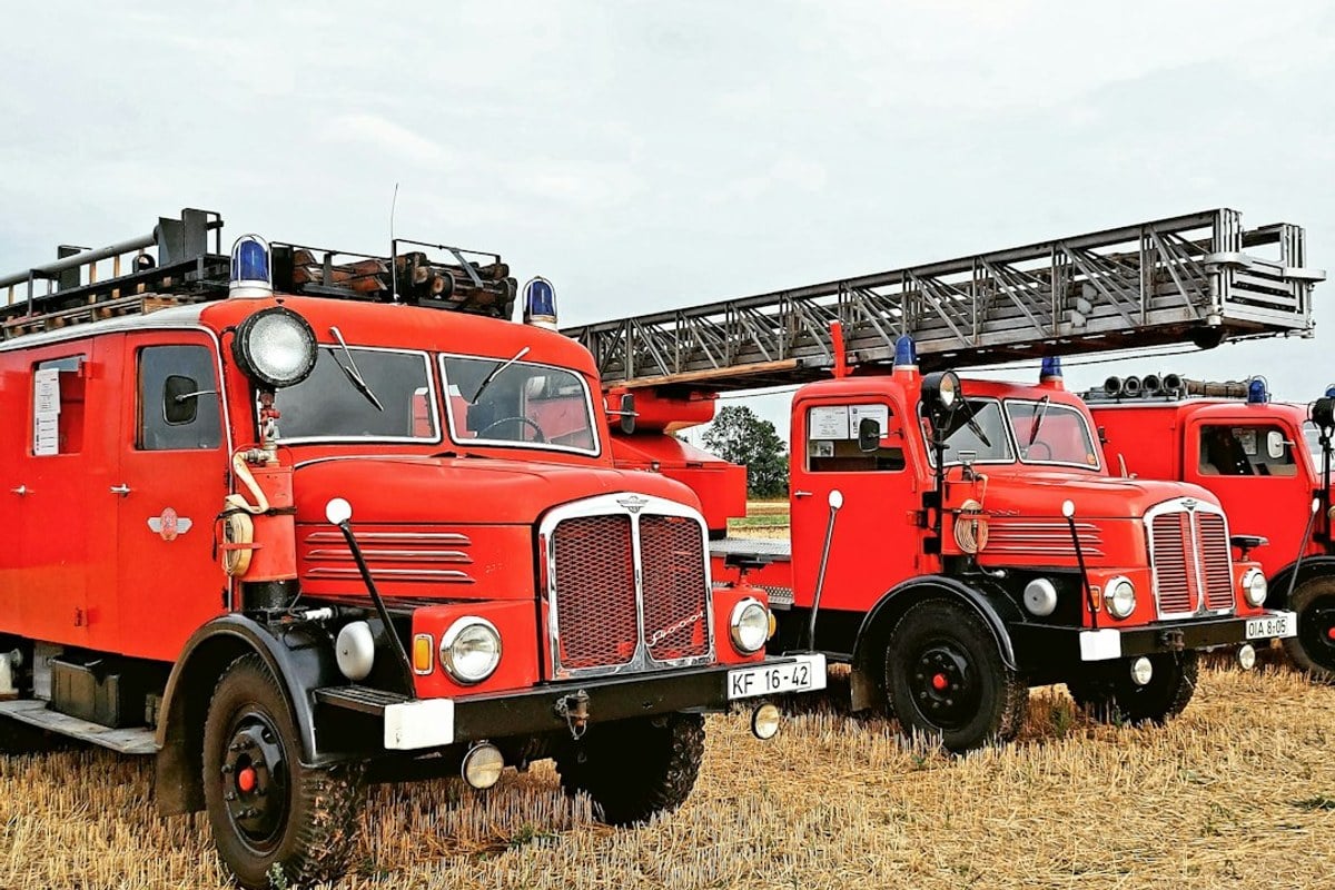 hoodline.com - Monica Coble - Touch-A-Truck Modesto 2026: Free Family Event Saturday