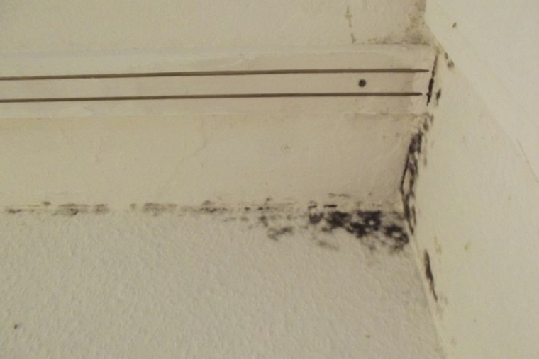 Mold Shuts Second Richmond School as Century-Old Buildings Buckle