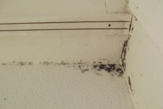 Mold Shuts Second Richmond School as Century-Old Buildings Buckle
