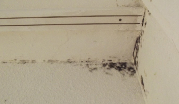 Mold Shuts Second Richmond School as Century-Old Buildings Buckle