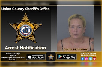 Monroe Grandmother Left Baby in Hot Car to Ask Shelter for Free Kittens