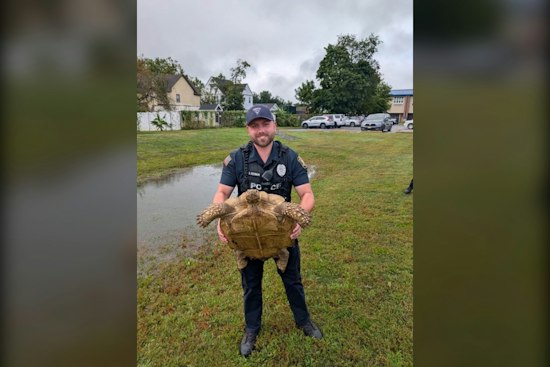 Monroe Township Police Nab Slow-Moving Suspect, Now Seek Turtle's Owner