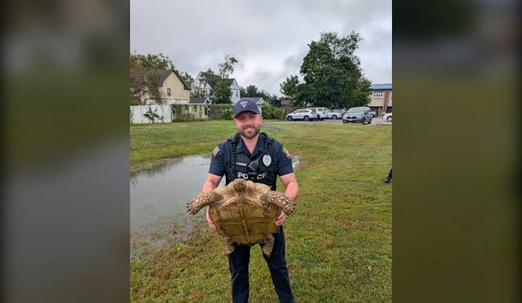 Monroe Township Police Nab Slow-Moving Suspect, Now Seek Turtle's Owner