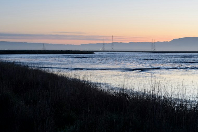 Moonlight Run Returns to Palo Alto Baylands as Construction Pauses Half Marathon