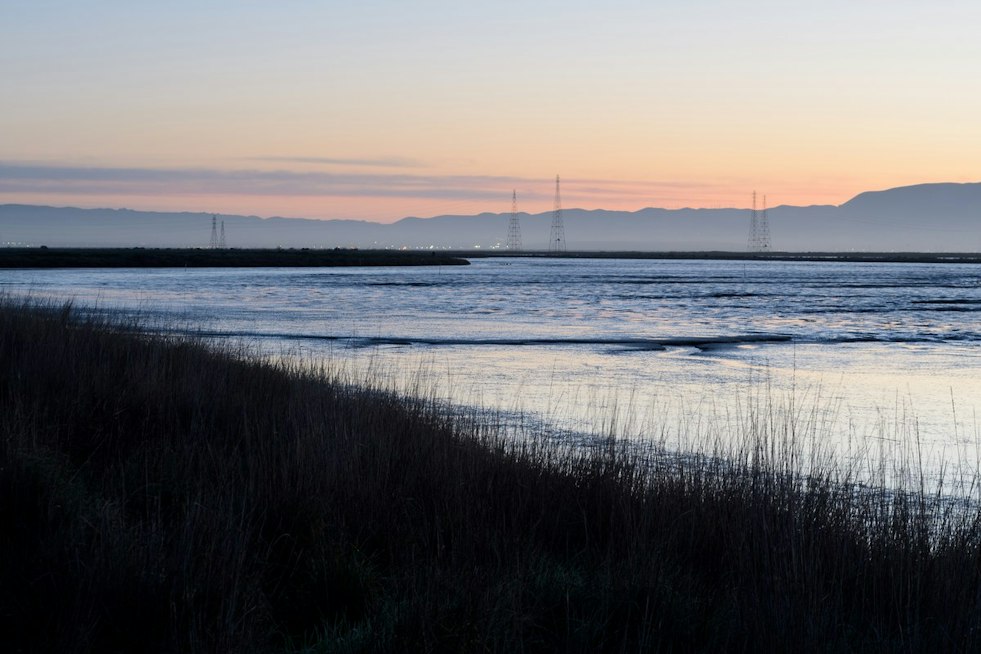 Moonlight Run Returns to Palo Alto Baylands as Construction Pauses Half Marathon