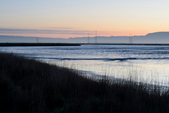 Moonlight Run Returns to Palo Alto Baylands as Construction Pauses Half Marathon