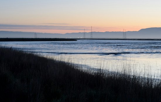 Moonlight Run Returns to Palo Alto Baylands as Construction Pauses Half Marathon