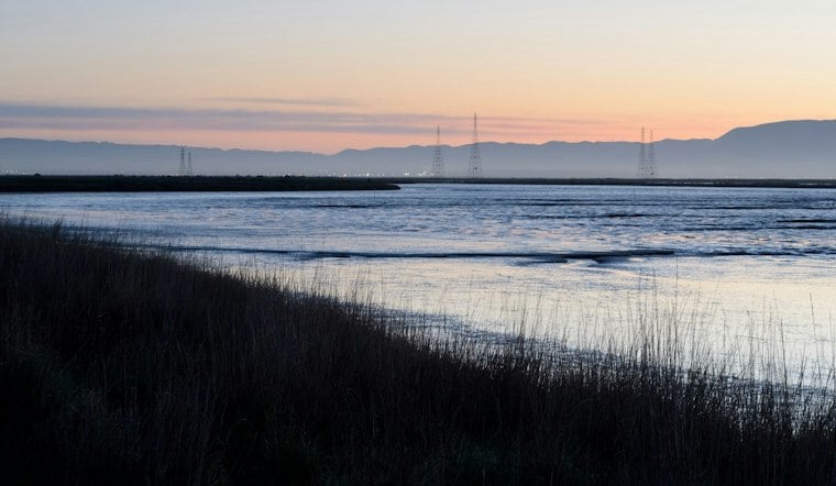 Moonlight Run Returns to Palo Alto Baylands as Construction Pauses Half Marathon