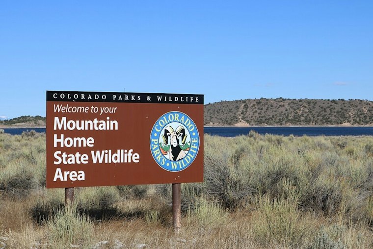 Moose Stomps Visiting Hiker Near Boulder After Group Reaches Summit