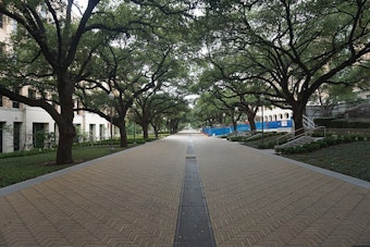 More Texas Professors Plan Their Exit as Political Climate Fuels Brain Drain